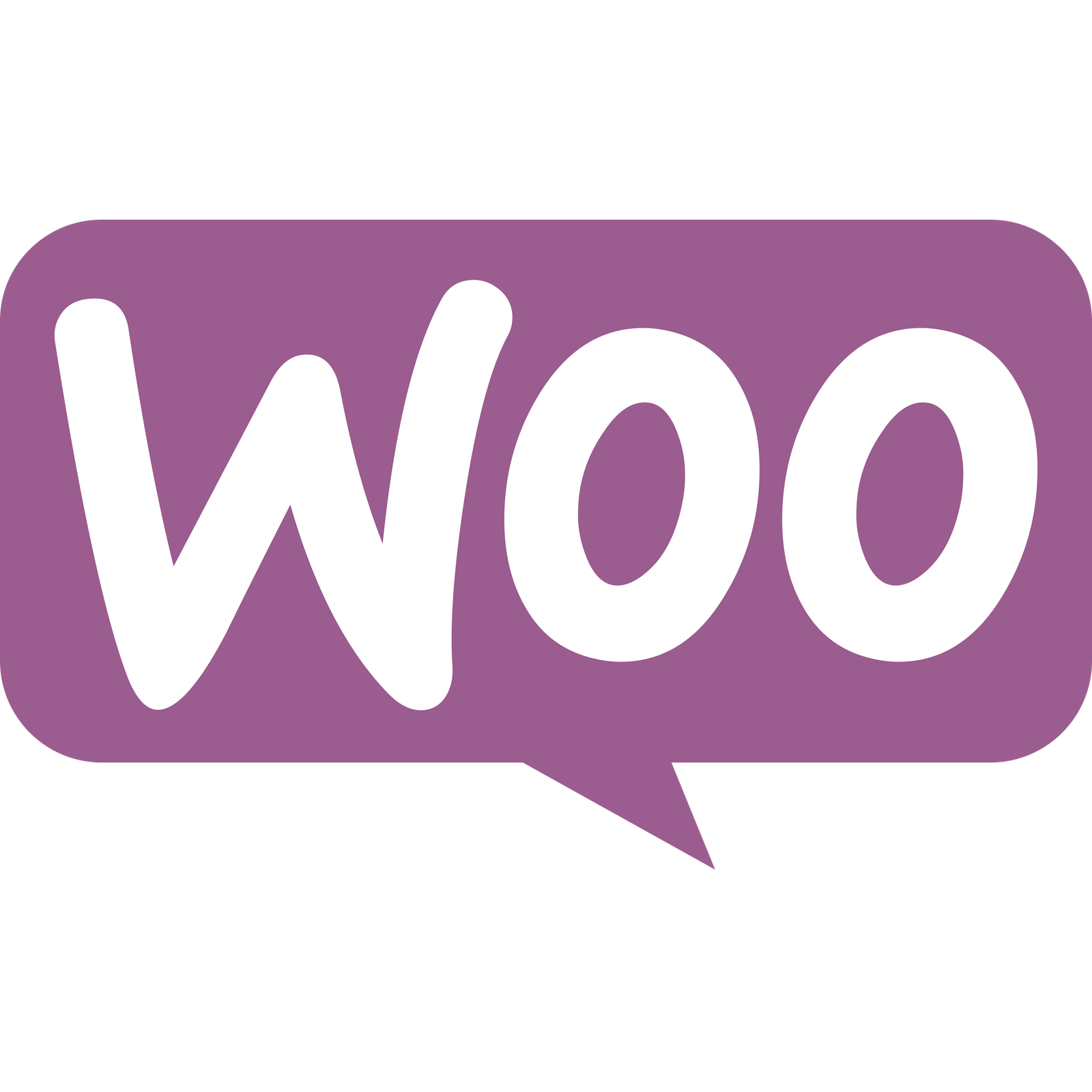 WooCommerce SEO Plugins