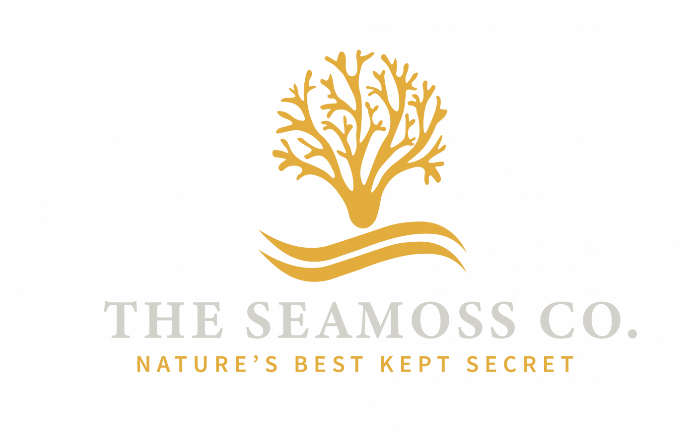 The Seamoss Co