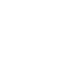 Erasmus Academy